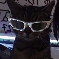 original sound - musica_heal