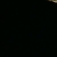 r_mw.jsx