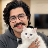 gulfarazrajpout