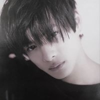 kp_sho25