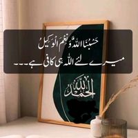 jani245678