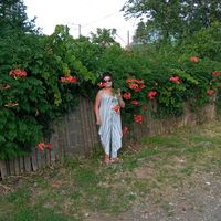 nature53724