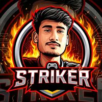 vpstriker1