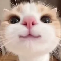 original sound - bomaydeptrainhatthgioi