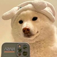 ody_gguph12