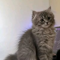 zinebzanoub7