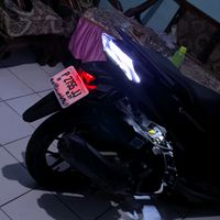 suara asli - Beluga.