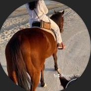 noly_a__