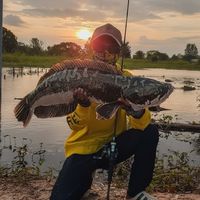 original sound - Tang Meng