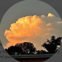 umar_sultaan