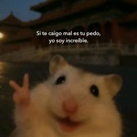 gels_st