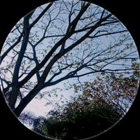 suara asli - rizal252