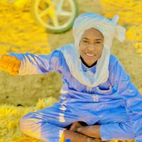 الصوت الأصلي