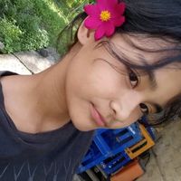 editormo_3