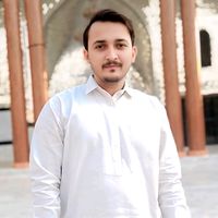 hasnainabbas463