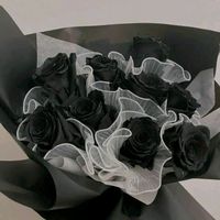 .luz0703