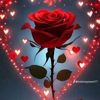 user7191655986962