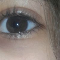 user551915613331