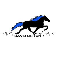 davidbitton14
