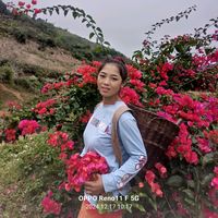 เสียงต้นฉบับ - @nkauj hli vwj🥰