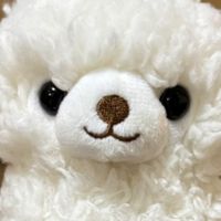 課題のワークどっか行った