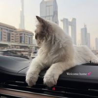 hidayatkhan769