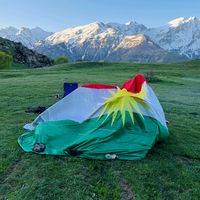 fakhryalselevany87