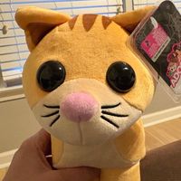 thouligingercatth