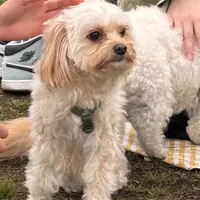 original sound - healing2550