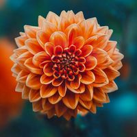 original sound - Juher