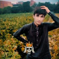 haeedtalish4