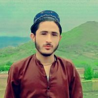 muhammadilyas4088