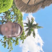 h_hggr