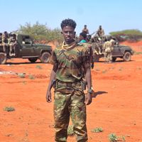 cumaryare354