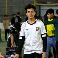 الصوت الأصلي