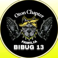 bibug13