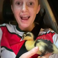 em.should.be.studying