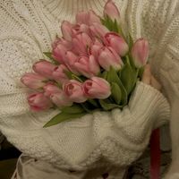 noorhan_abdelrady