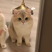 ig._azuro14