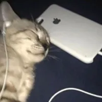 original sound - wtyknwthssng