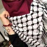 free_gaza26