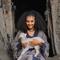 mahi_asli