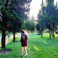 nhạc nền - Bích Loan