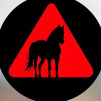 brasilcavalos