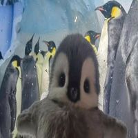 original sound - エピソード