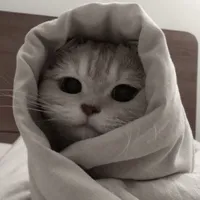 original sound - soxy.me