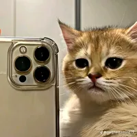 original sound - mor4v3