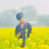 nourealom3