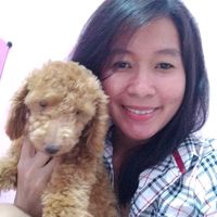rumahshihtzumedan