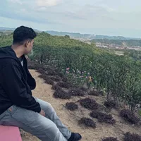 original sound - bosan_fypmulu